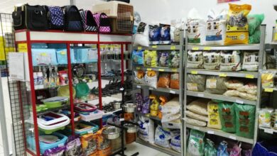 Photo of Скидки на продукцию для животных